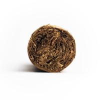 AVO XO Legato Toro Cigar - 1 Single